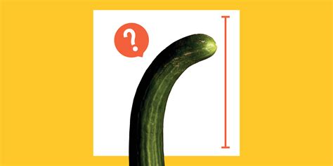 dick fotos|Penis: 20 Different Types, Shapes, and Things to Know